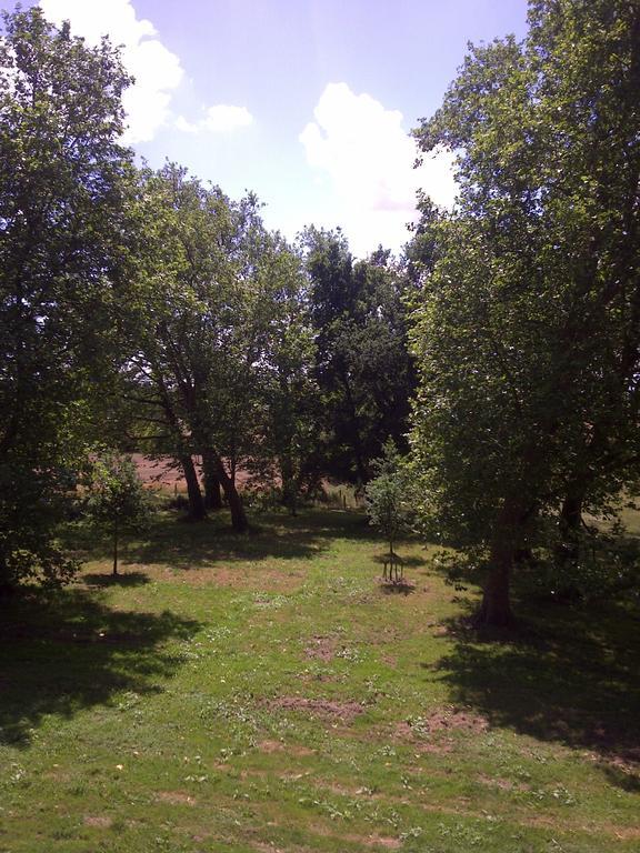 Chateau De La Motte Daudier Craon  Room photo