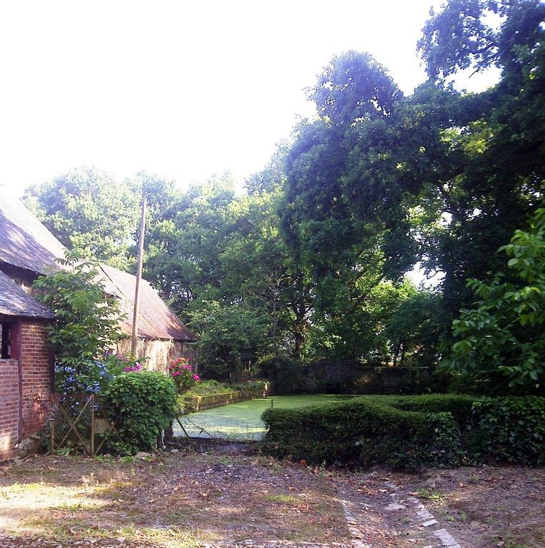Chateau De La Motte Daudier Craon  Room photo
